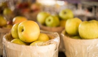 Pennings Orchard – UPICK