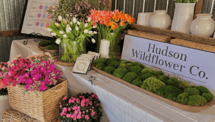 Hudson Wildflower Co